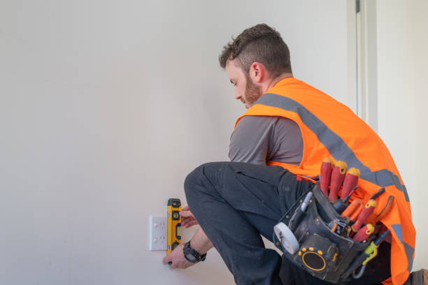Best Ceiling Fan Installation Electrician  in Lakeview, OH