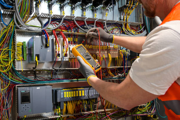 Best Electric Panel Repair  in Lakeview, OH